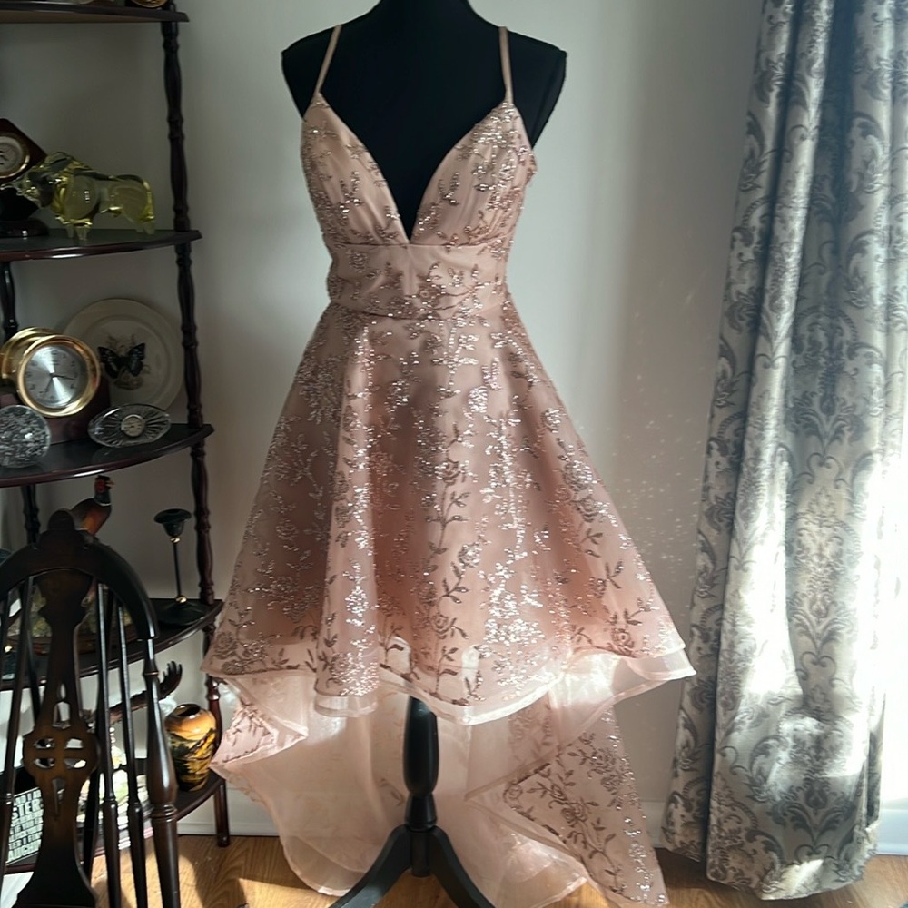 ABBY PARIS BY LUCCI LU Spring 2023 Prom Collection Style 90098 Size 4 Rose Gold.